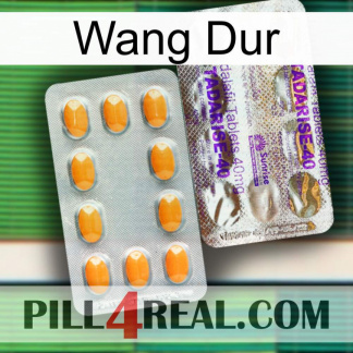 Hard Wang new12